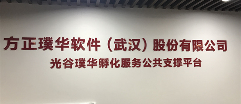 走出課堂，走進(jìn)企業(yè)—藍(lán)鷗武漢學(xué)子赴方正璞華參觀學(xué)習(xí)